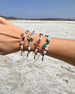 Sunlit Shells